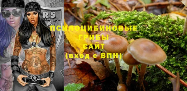 шишки Абдулино