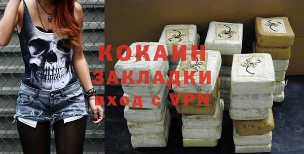 хмурый Абаза