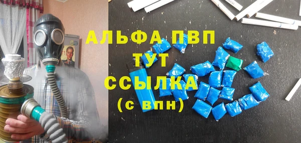 хмурый Абаза