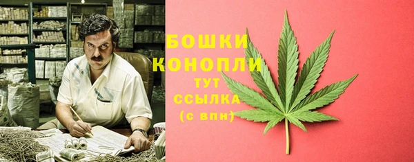шишки Абдулино