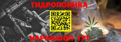 spice Камышлов