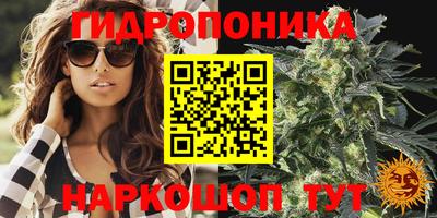 круглые Канаш