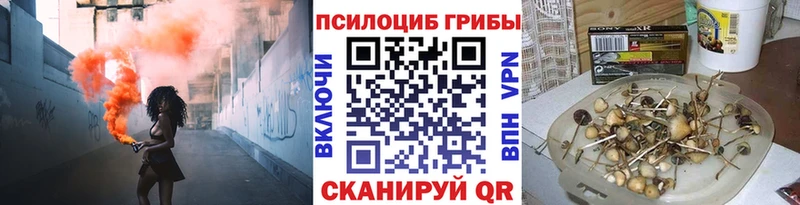 Галлюциногенные грибы Psilocybine cubensis  сайты даркнета клад  Воронеж 