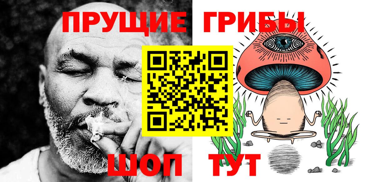 Псилоцибиновые грибы Cubensis  Вход с VPN  Воронеж 