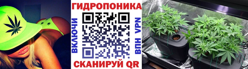 Шишки марихуана White Widow  купить закладку  Воронеж 